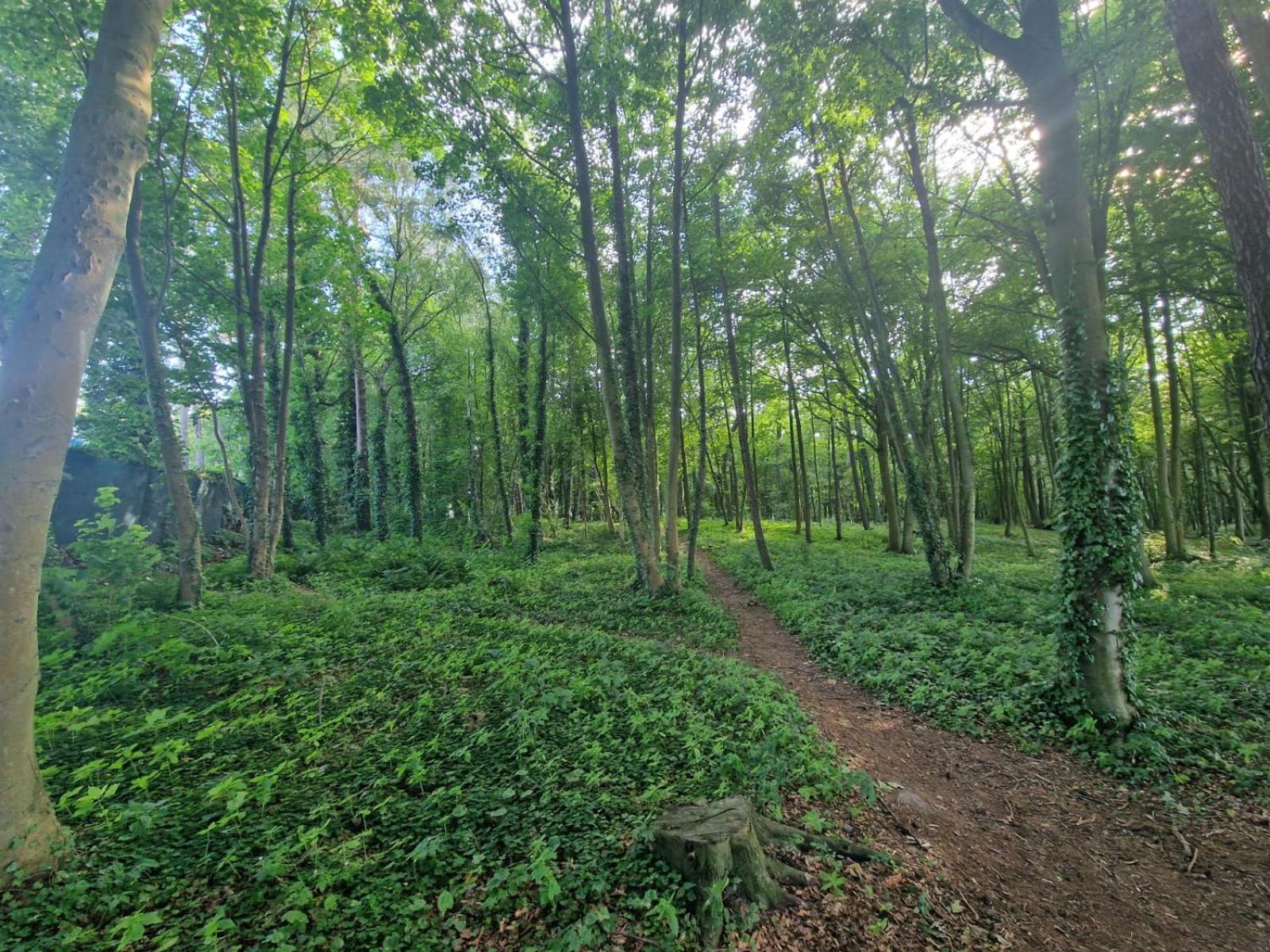 Osrodek Promenada- Faleza Jastrzębia Góra Exterior foto